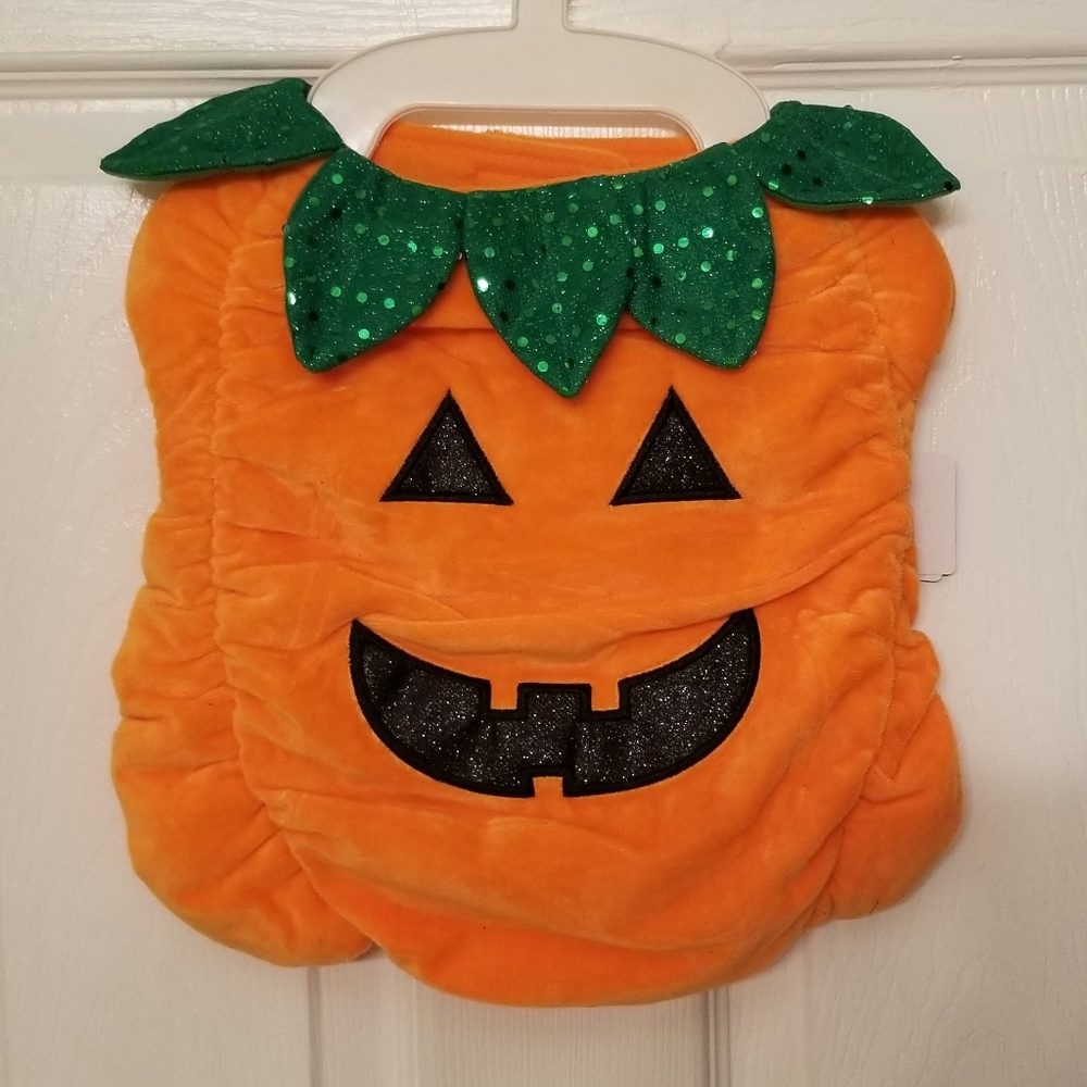 Pumpkin Dog Costume